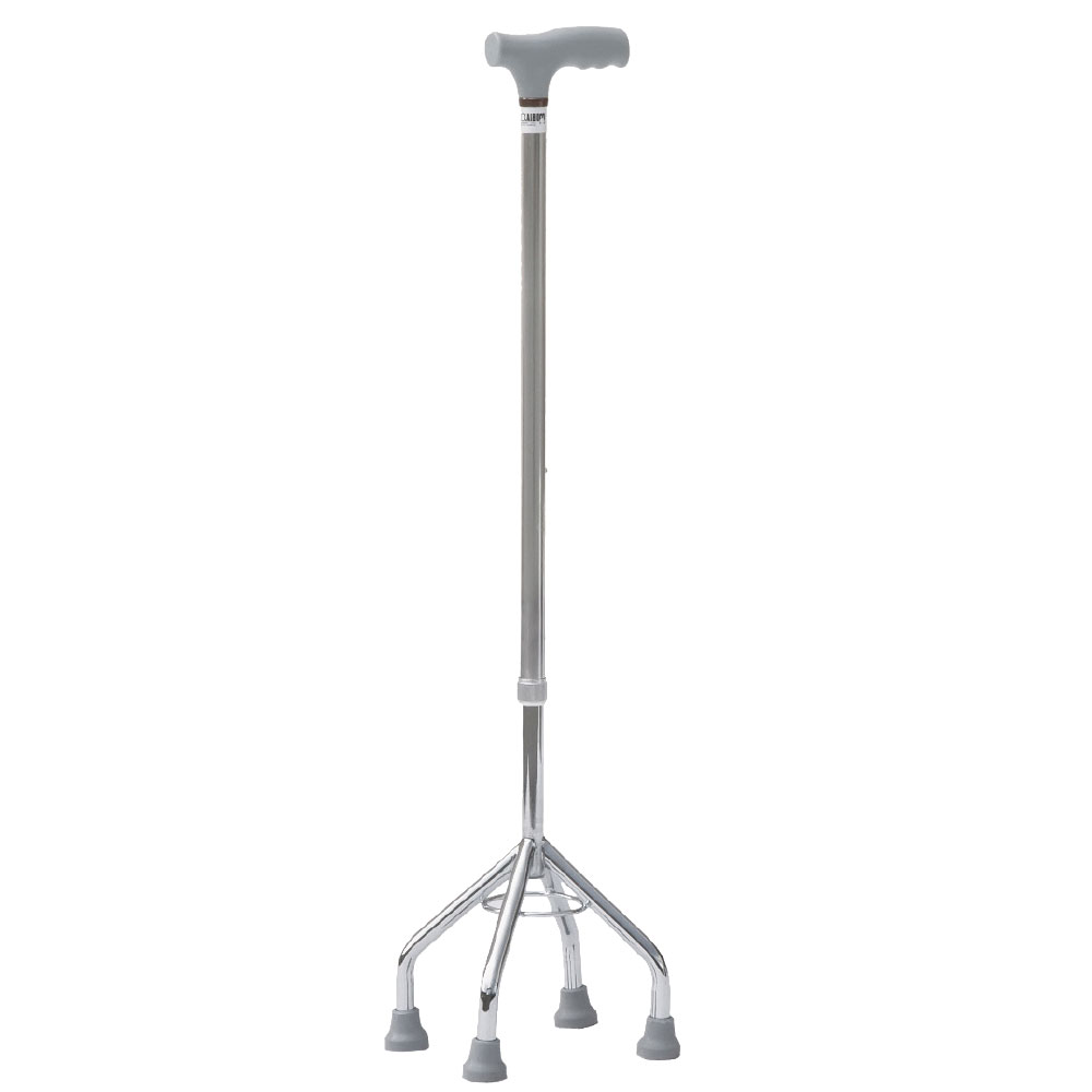 Baston tetrapod, 806529i